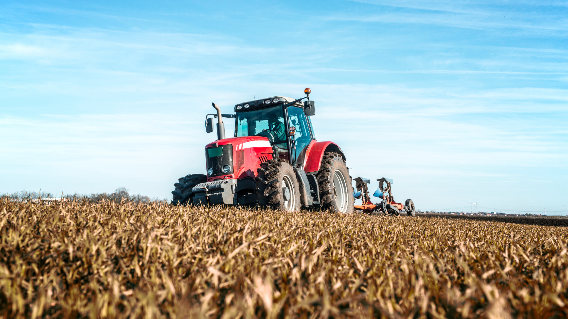 Agricultura E Pecuária: Relação E Resultados