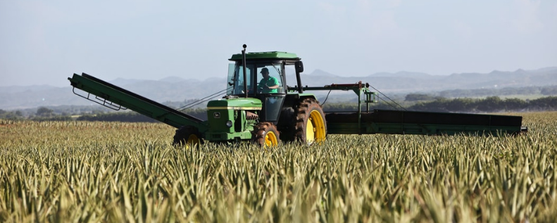 Por que produzir a própria silagem na fazenda?