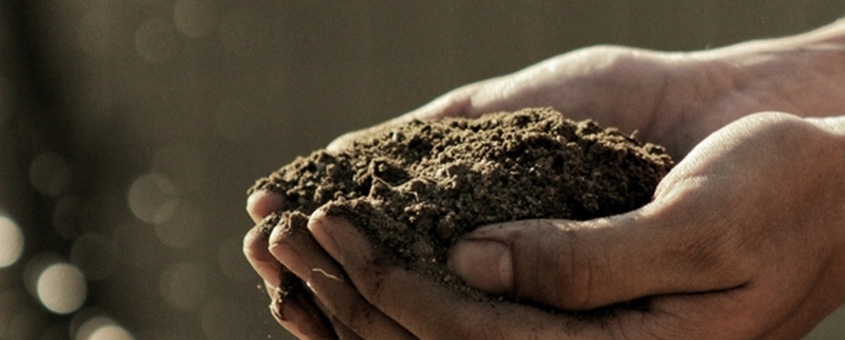 A agroindustria no Brasil